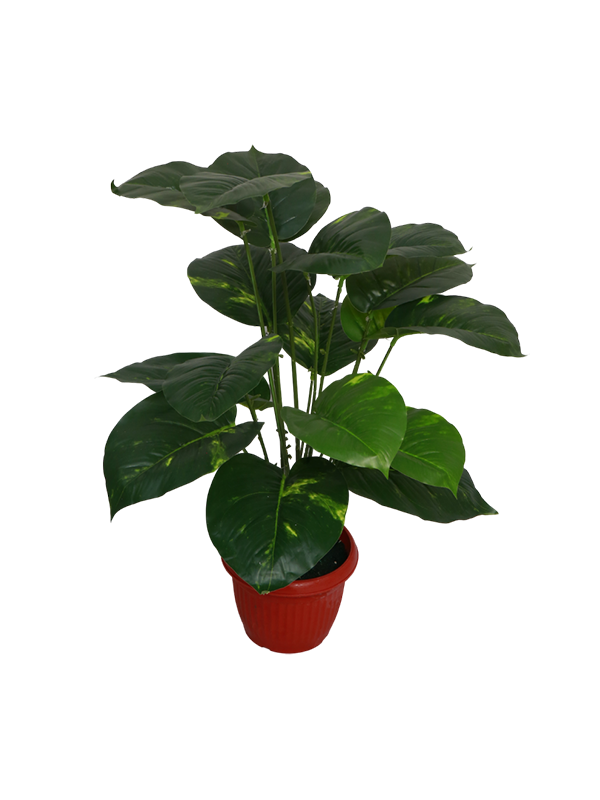 Brown round plastic planter