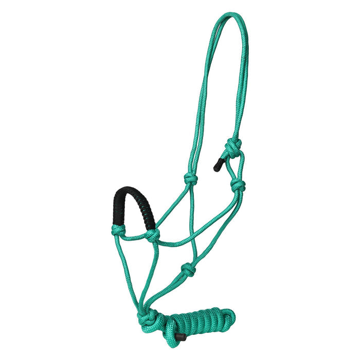 Green / Horse