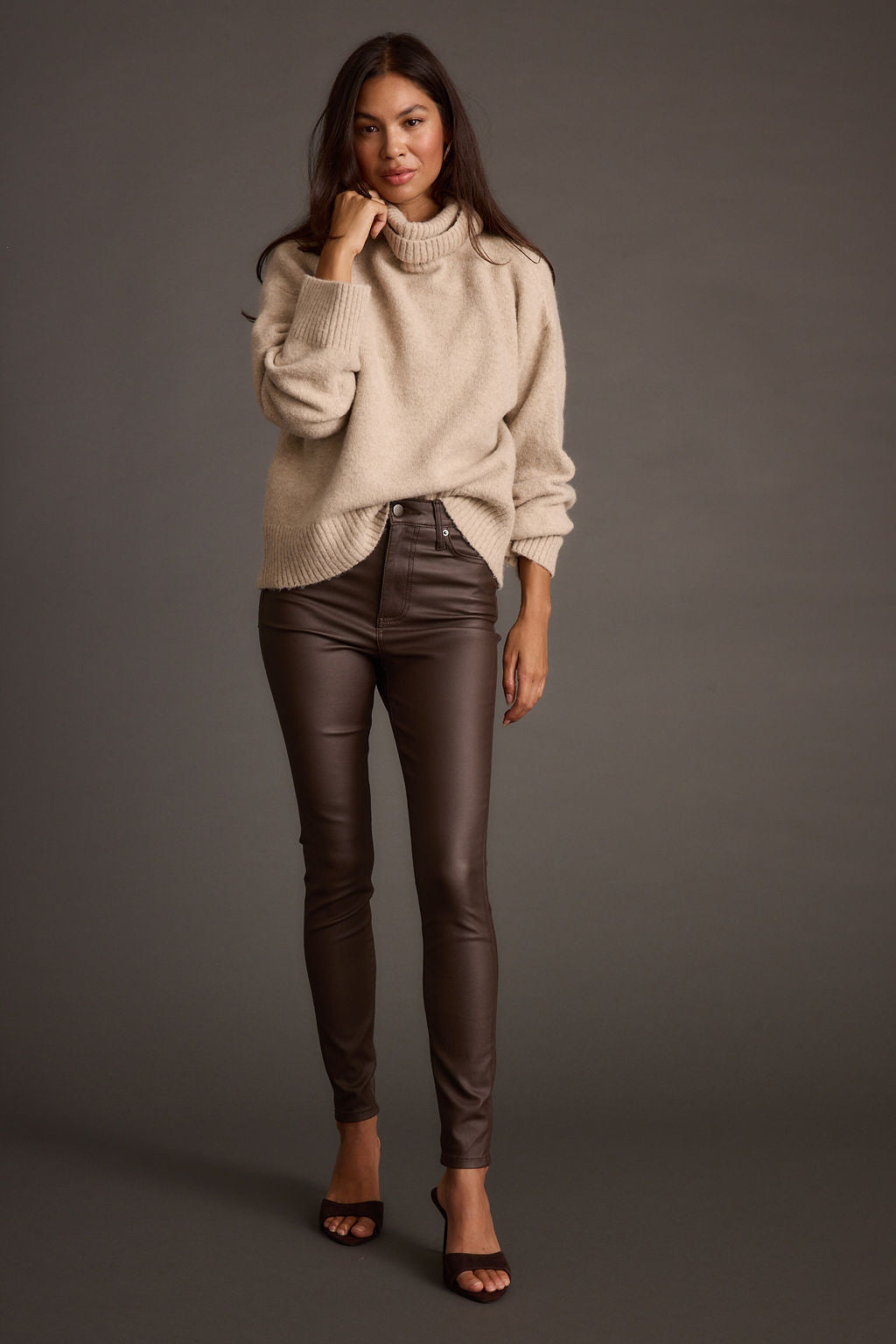 Cedar Oatmeal Oversized Sweater Turtleneck