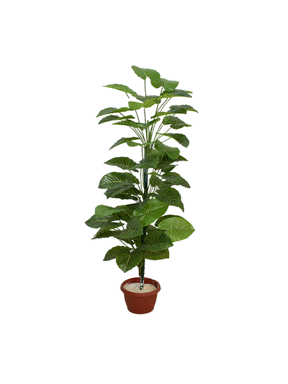 Alaska Pot - Urban Galleria