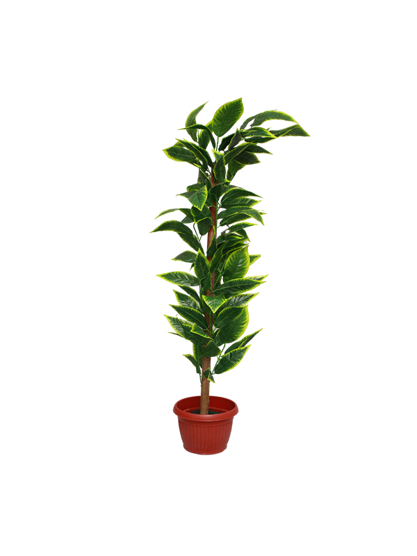 Alida Planter - Urban Galleria