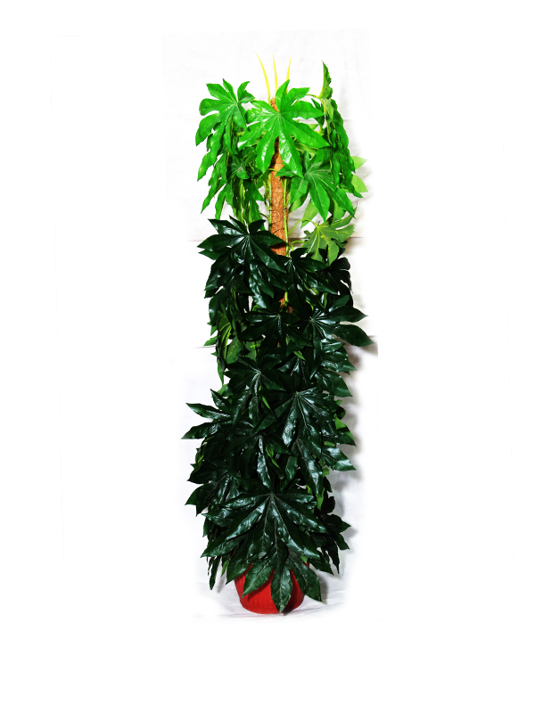 Aubrey Planter - Urban Galleria