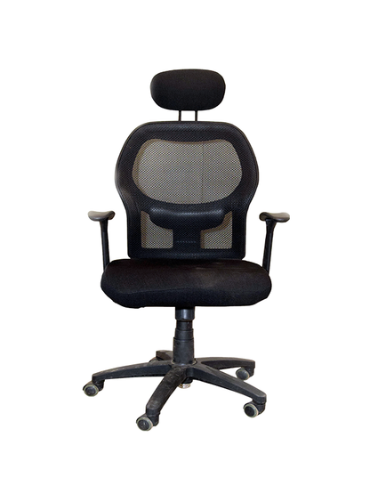Beatriz Chair