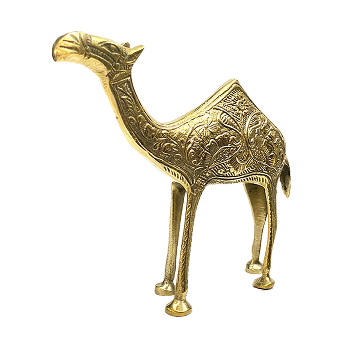 Cooper Camel Docor 10005