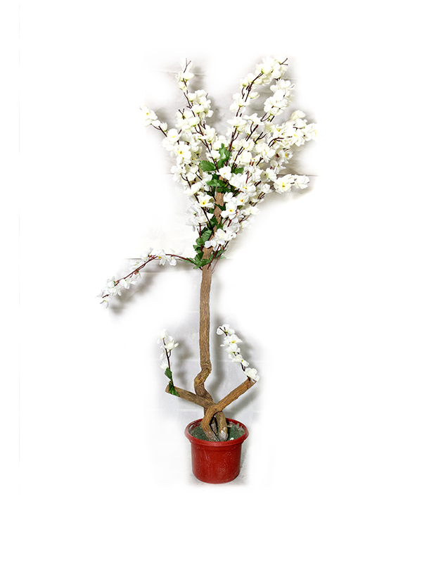 Eilana Misty Planter