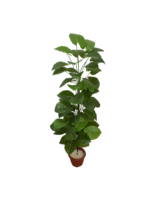 Elon Plant Pot