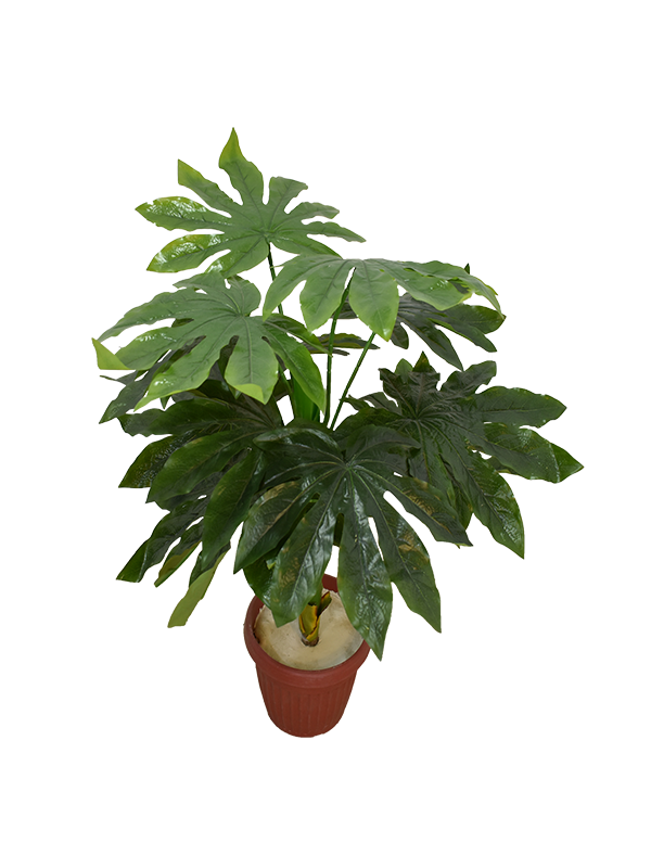 Green Range Plant Pot