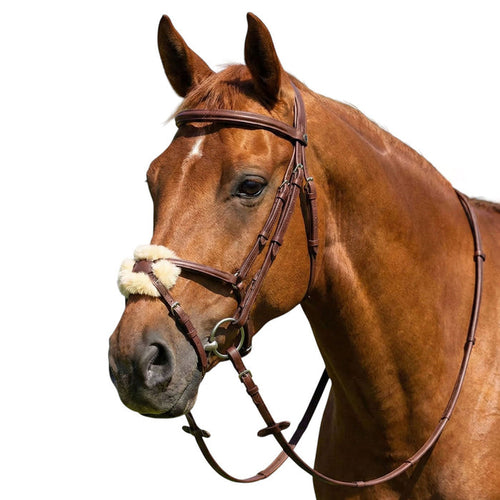 Henri de Rivel Kushy Plain Raised Figure Eight Noseband Bridle