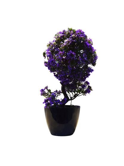 Kantel Table Planter