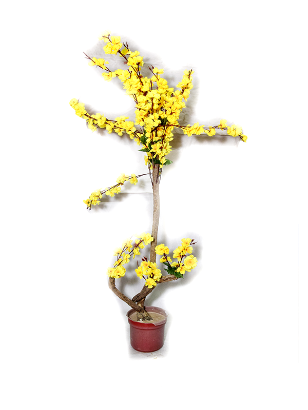Lime Fern Planter