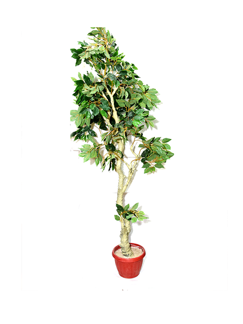 Melana Planter