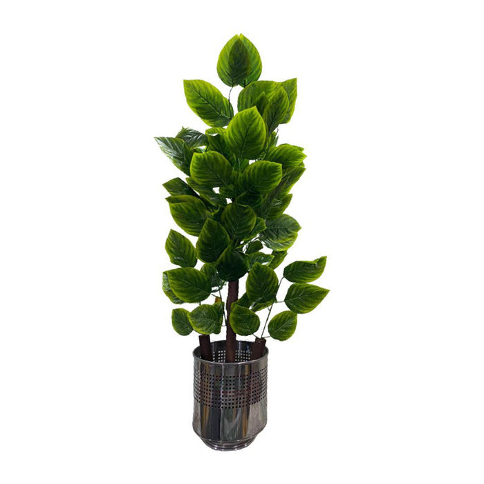 Metallic Philendon Planter
