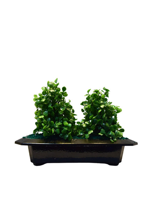 Rolf Tree Planter