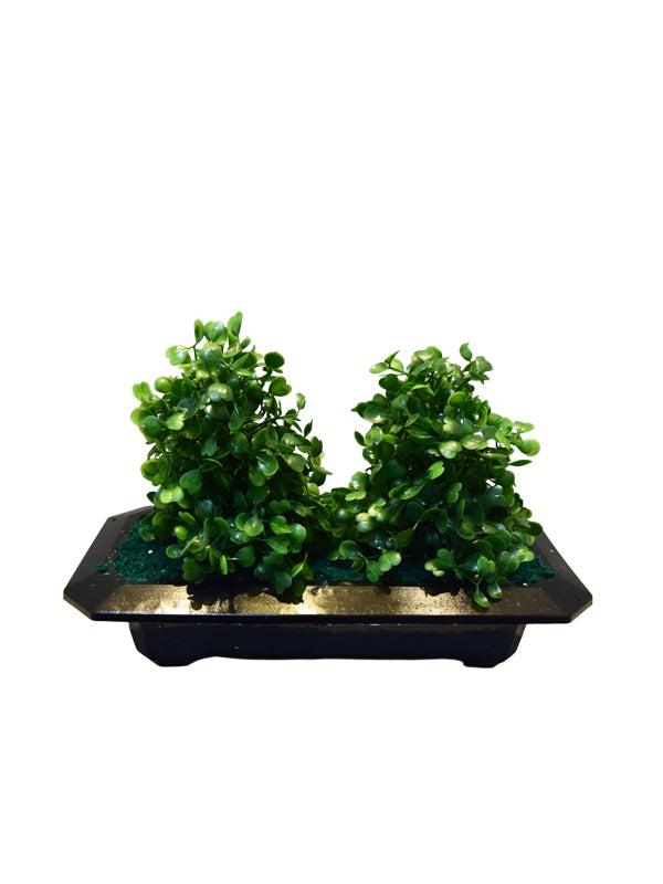 Rolf Tree Planter