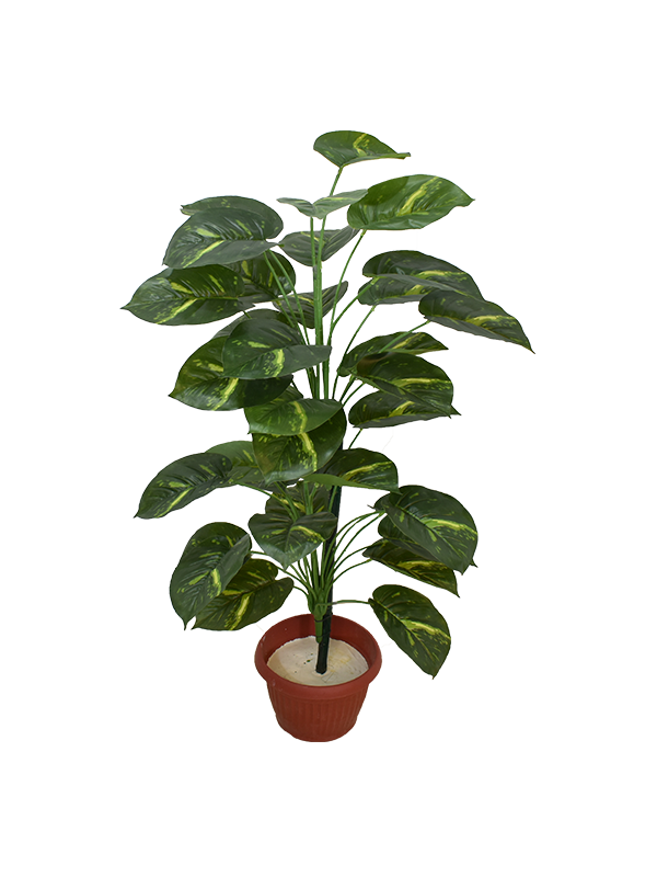 San Jock Plant Pot