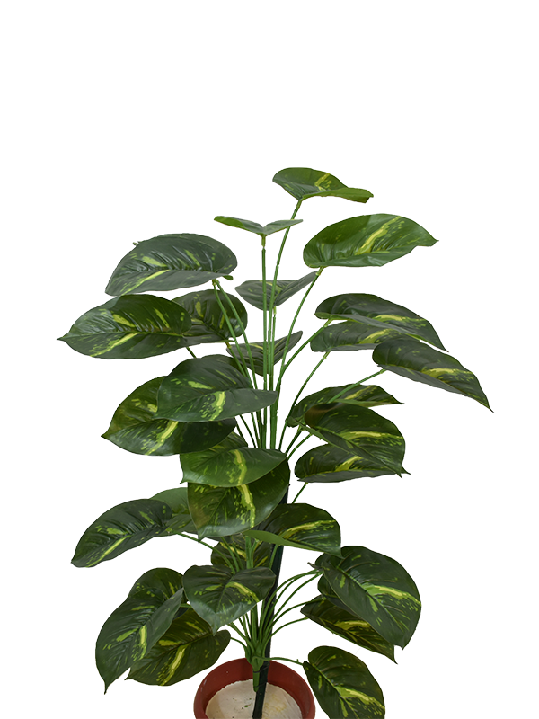 San Jock Plant Pot