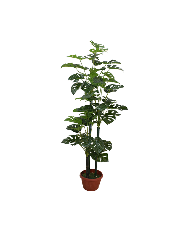 Seylerra Plant Pot