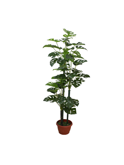 Seylerra Plant Pot