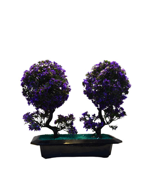 Terazzo Table Planter