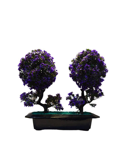 Terazzo Table Planter