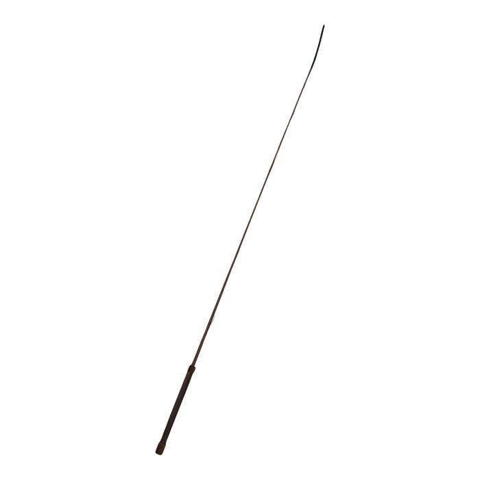 Ch. Brown / 43 Inch