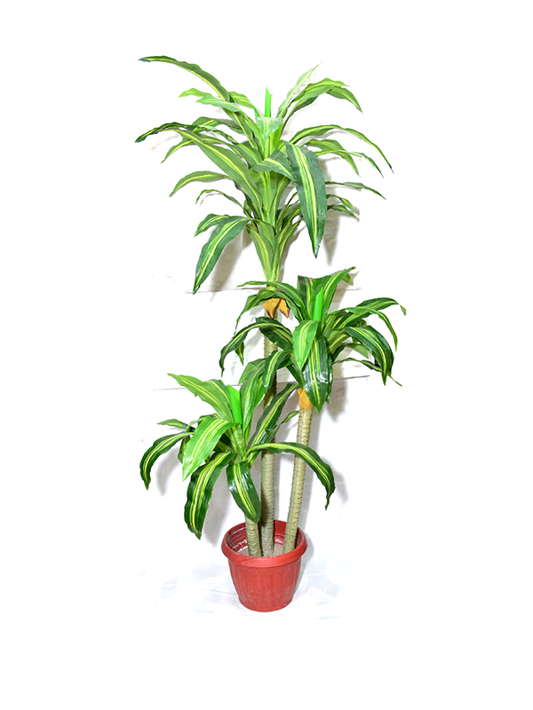 Zezu Planter